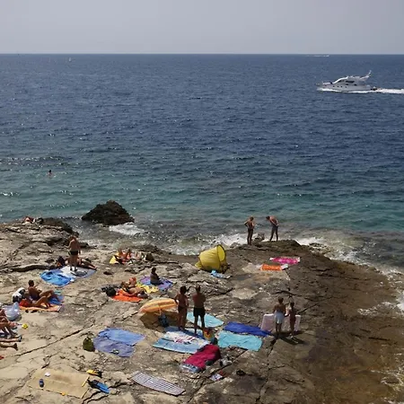 Apartman Fuer 3 Personen Ca 33 M In Pula, Istrien Und Umgebung